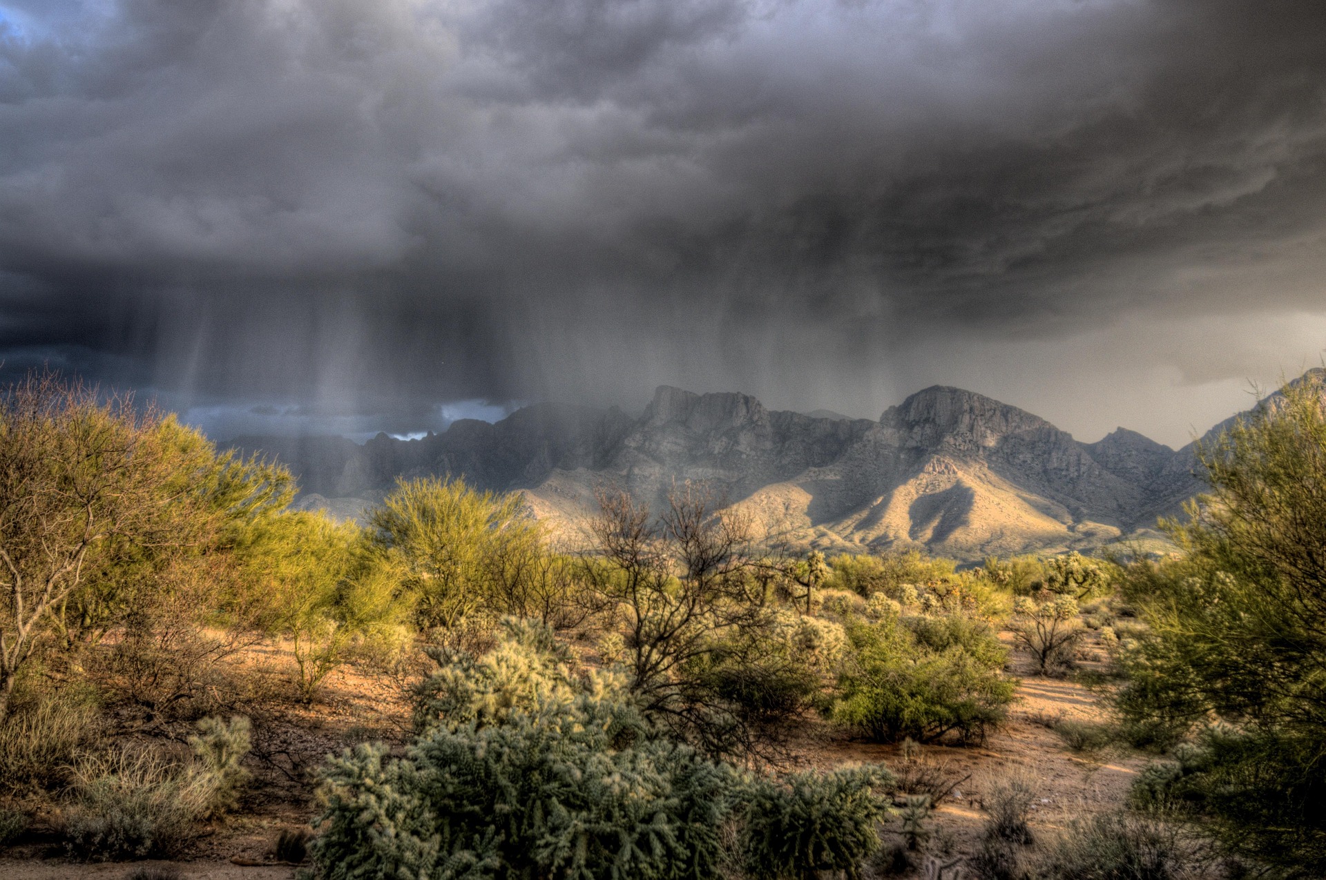 Rain over the desert
